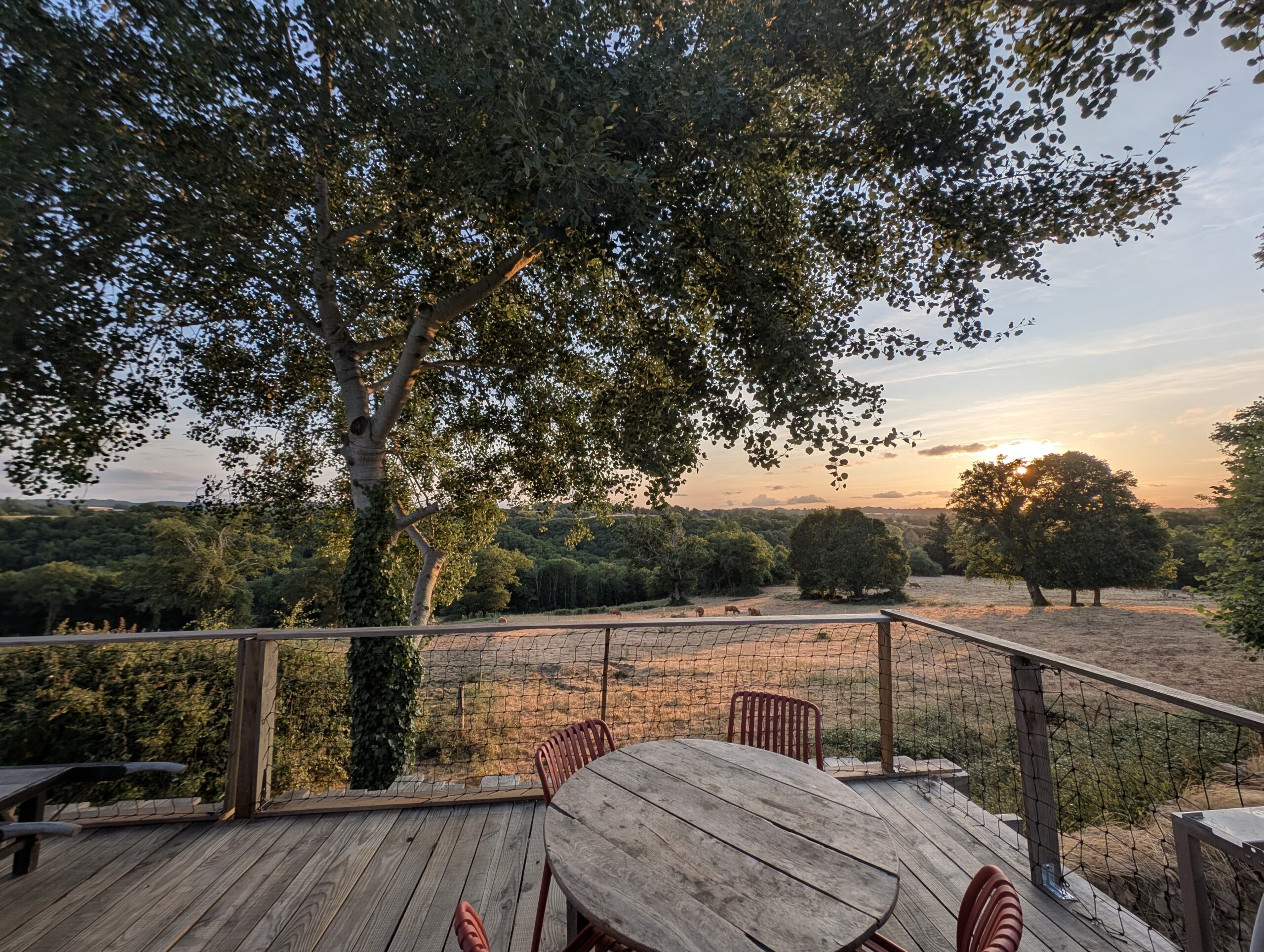 L'Abri Cellois pxl 20250714 190743892.mp