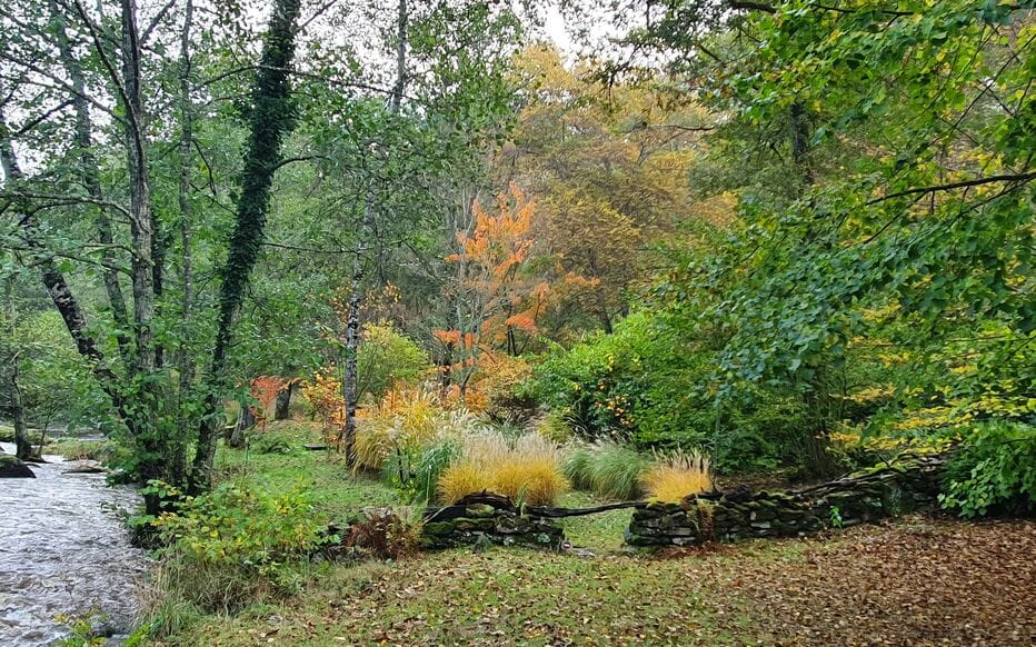 Que faire à La Celle Dunoise ? Nature & vallée des peintres l'arboretum de la sédelle